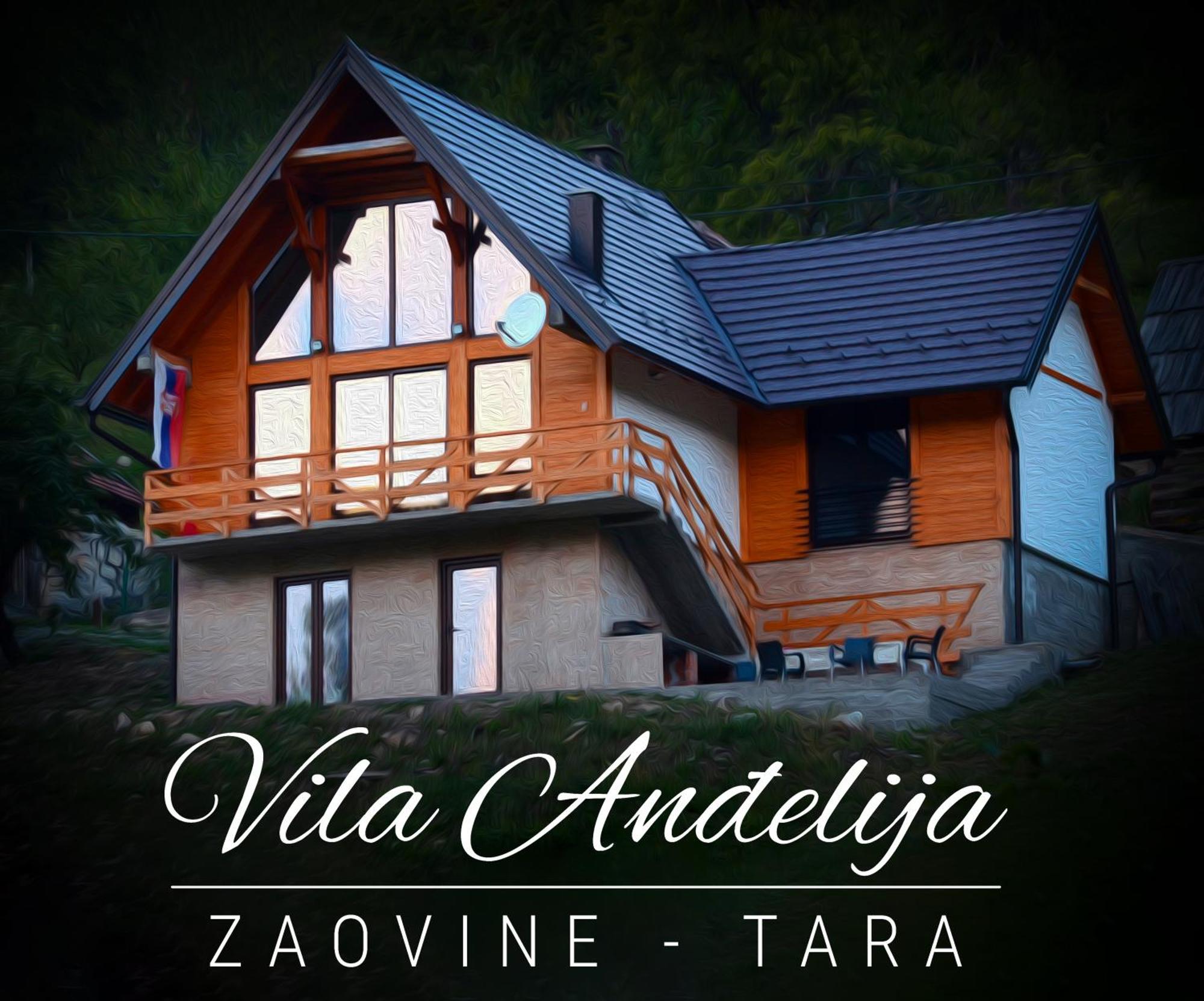 Villa Vila Anthelija Zaovine Lazici Exterior foto